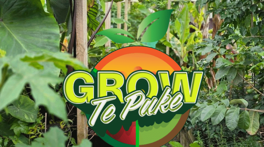 Cultivating Community: How Grow Te Puke is Helping Us Build a “Backyard Supermarket”