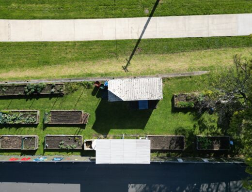 Te Puke Community Garden